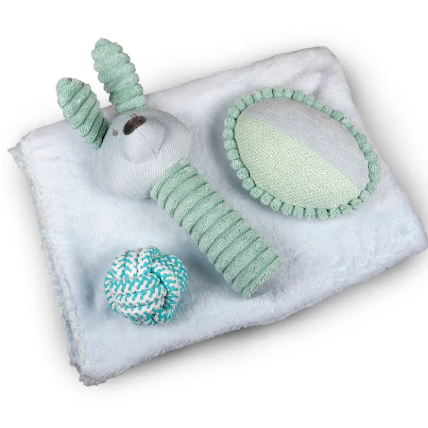 Tootoy! Comfort Pack de Bienvenida para cachorros
