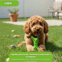 Tootoy! Hueso Mordedor Dental para perros
