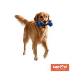 Tootoy! Hueso Portagolosinas de Goma Azul para perros