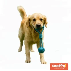 Tootoy! Modedor para Tirar de Cuerda con Pelota Azul para perros