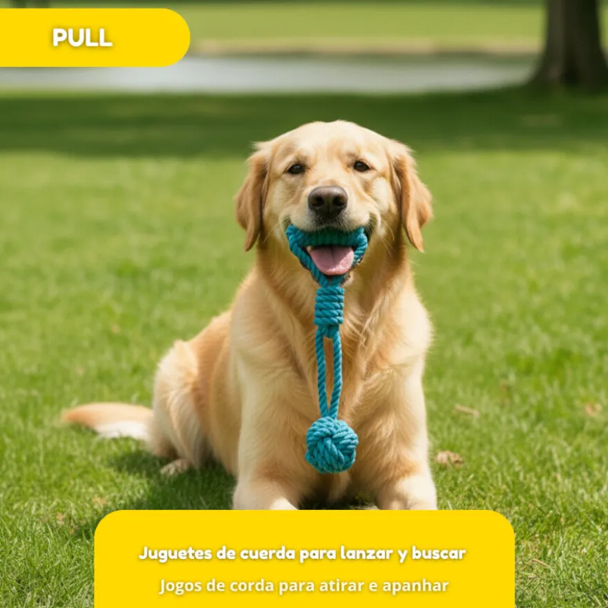 Tootoy! Modedor para Tirar de Cuerda con Pelota Azul para perros