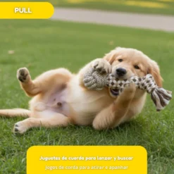 Tootoy! Mordedor de Cuerda con Pelota para perros