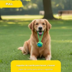 Tootoy! Mordedor de Cuerda con Pelota Verde para perros