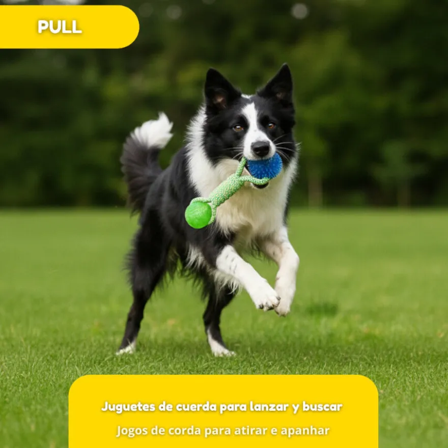 Tootoy! Mordedor de Cuerda con Pelotas de Goma para perros
