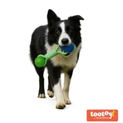 Tootoy! Mordedor de Cuerda con Pelotas de Goma para perros