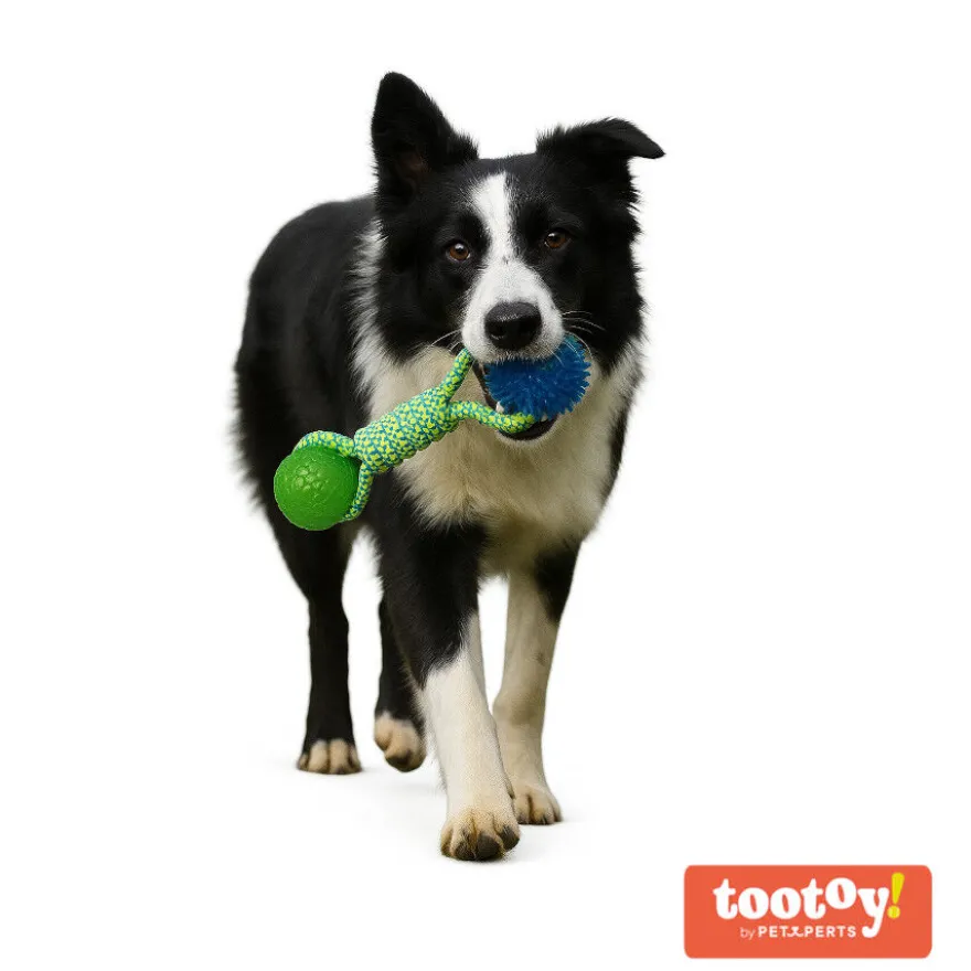 Tootoy! Mordedor de Cuerda con Pelotas de Goma para perros