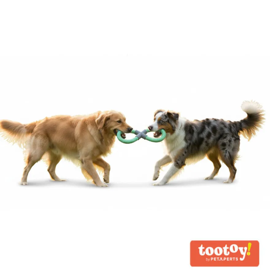 Tootoy! Mordedor de Cuerda Doble Azul y Verde para perro