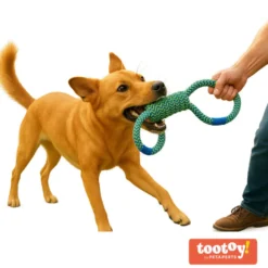 Tootoy! Mordedor de Cuerda Doble para perros
