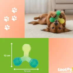 Tootoy! Mordedor de Pelotas en Triángulo Verde para perros