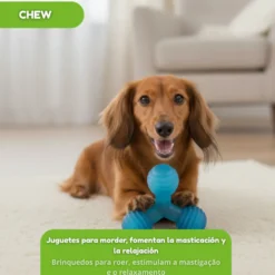 Tootoy! Mordedor de Pelotas en Triángulo Azul para perros