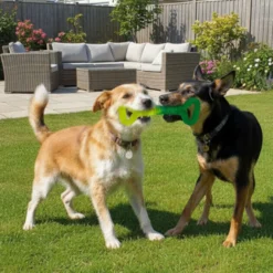Tootoy! Mordedor Grill and Pull Verde para perros