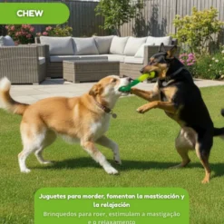 Tootoy! Mordedor Grill and Pull Verde para perros