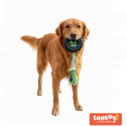 Tootoy! Mordedor Neumático de Goma con Cuerda para perros