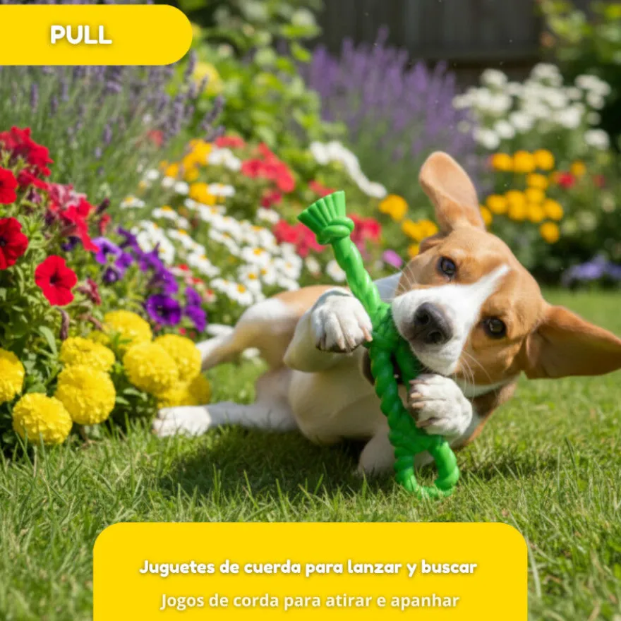 Tootoy! Mordedor Rubber Bold Knot de Goma Verde para perros