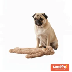 Tootoy! Oso de Peluche con Sonido para perros