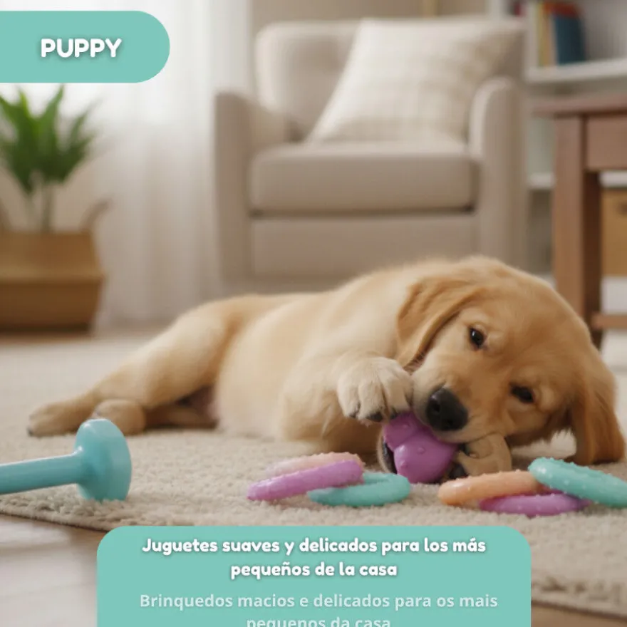 Tootoy! Pack de Mordedores para cachorros