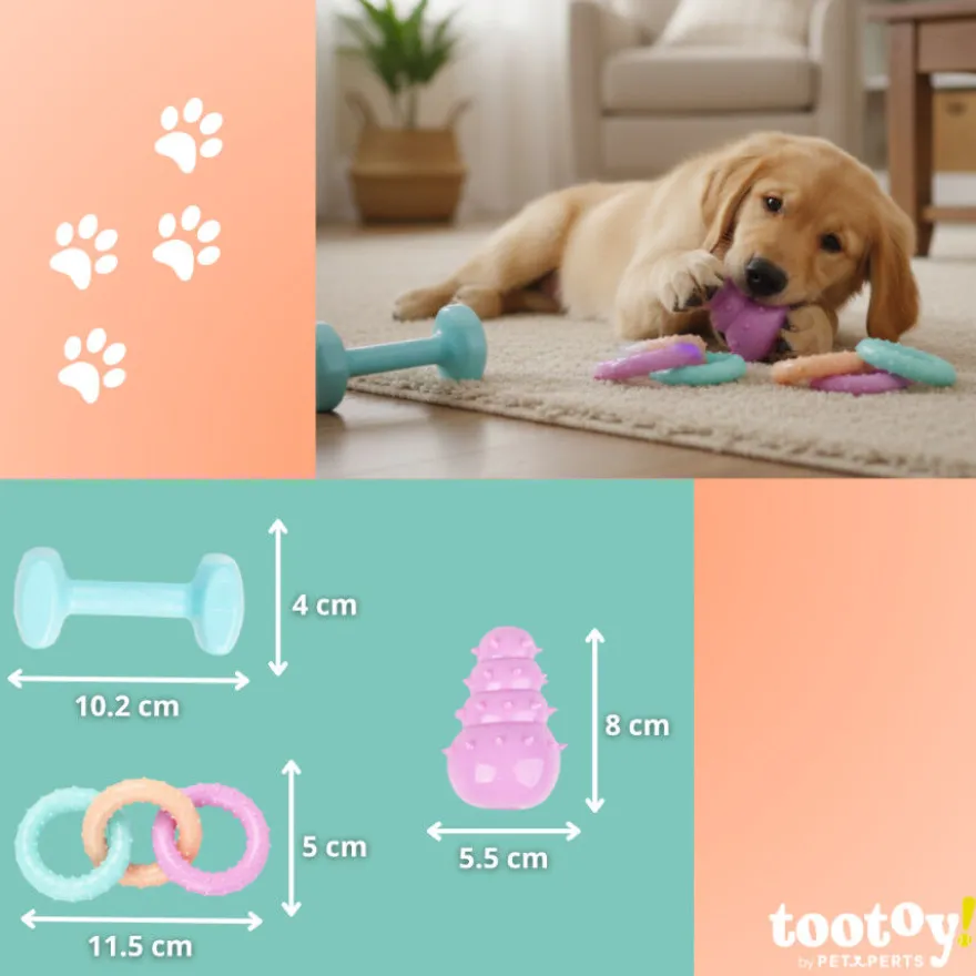 Tootoy! Pack de Mordedores para cachorros