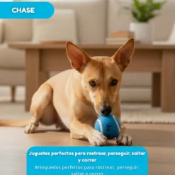 Tootoy! Pack de Pelotas de Tenis de Colores para perros