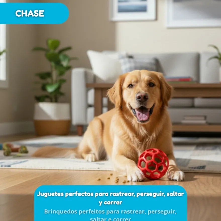 Tootoy! Pelota Easy Grip Hexagonal para perros