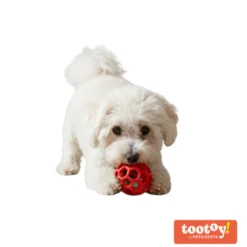 Tootoy! Pelota Easy Grip Hexagonal para perros