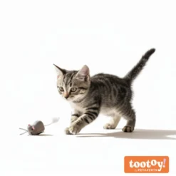 Tootoy! Ratón Interactivo con Movimiento para gatos