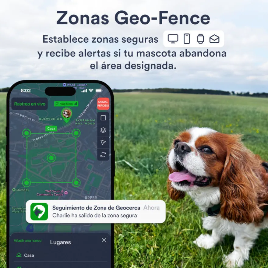 Trackimo Localizador GPS Petloc8 4G para perros y gatos