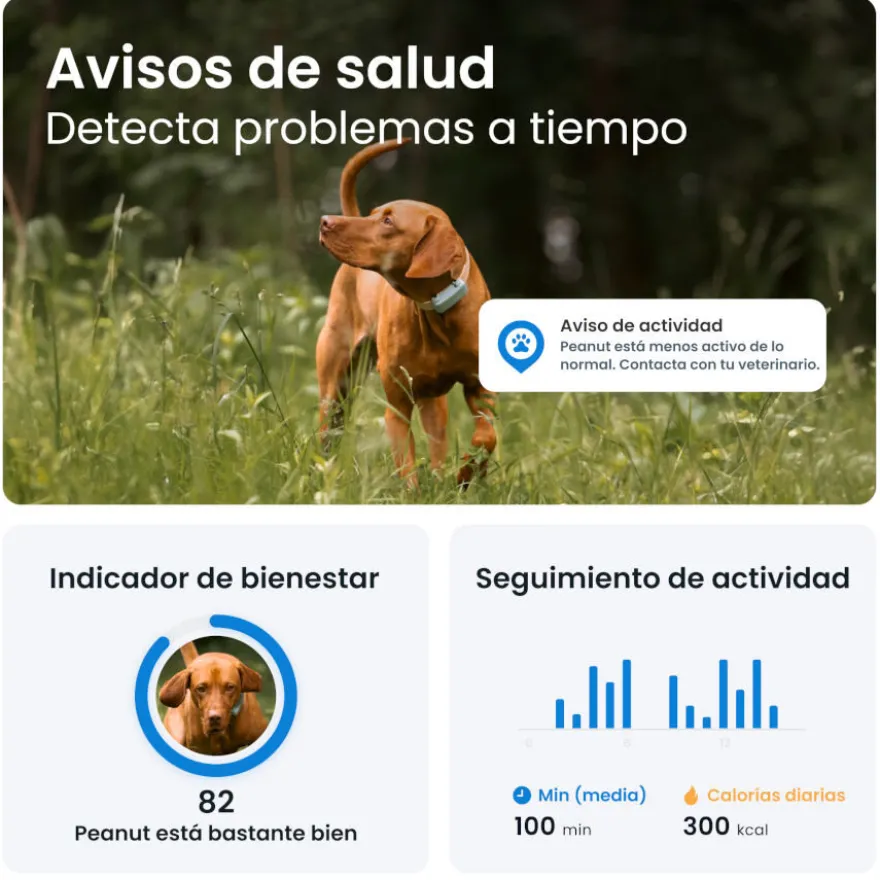 Tractive GPS Dog 6 Marrón Rastreador para perros