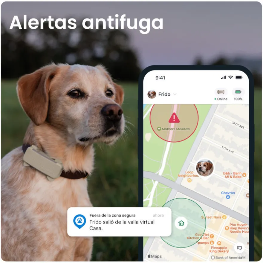 Tractive GPS Dog 6 Menta Rastreador para perros