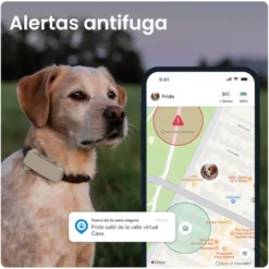 Tractive GPS Dog 6 Negro Rastreador para perros
