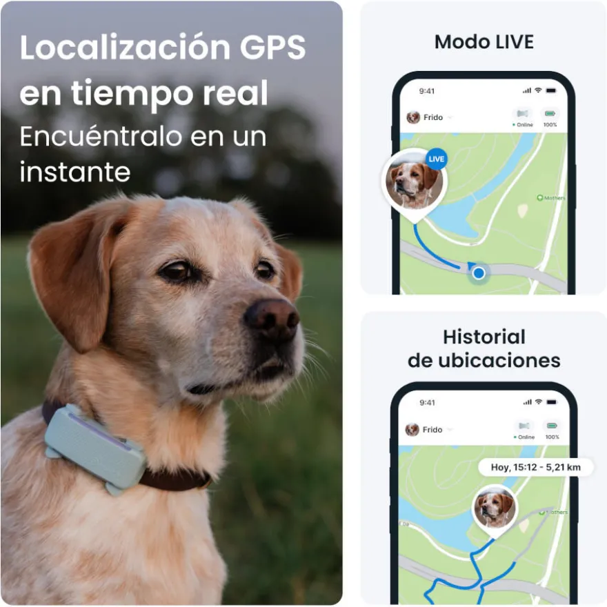 Tractive GPS Dog 6 Negro Rastreador para perros