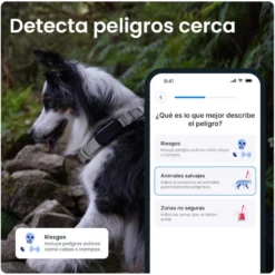 Tractive GPS Dog 6 Negro Rastreador para perros