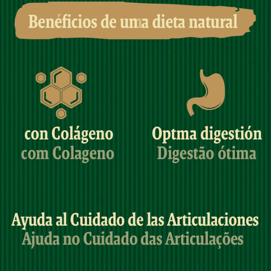 True Origins Joints Chewing Sticks Snack para perros