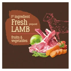 True Origins Pure Grain Free Adult Cordero pienso para perros