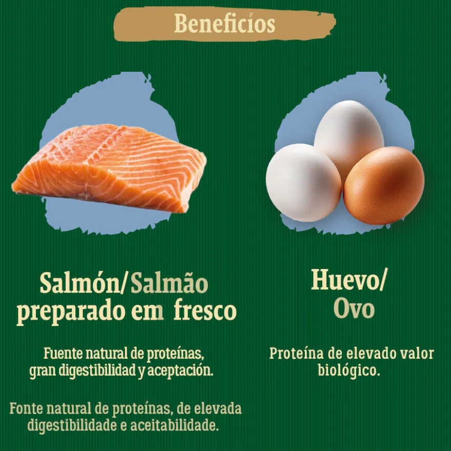 True Origins Wild Esterilizado Pacific Salmón pienso para gatos