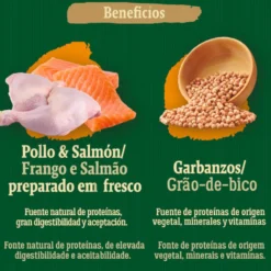 True Origins Wild Kitten Country Water Pollo y Salmón pienso