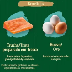 True Origins Wild Ocean River Salmón y Trucha pienso para gatitos