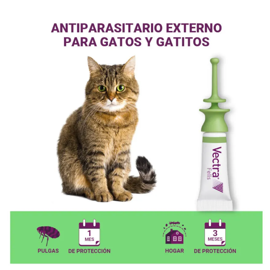Vectra Felis Pipetas Antiparasitarias para gatos