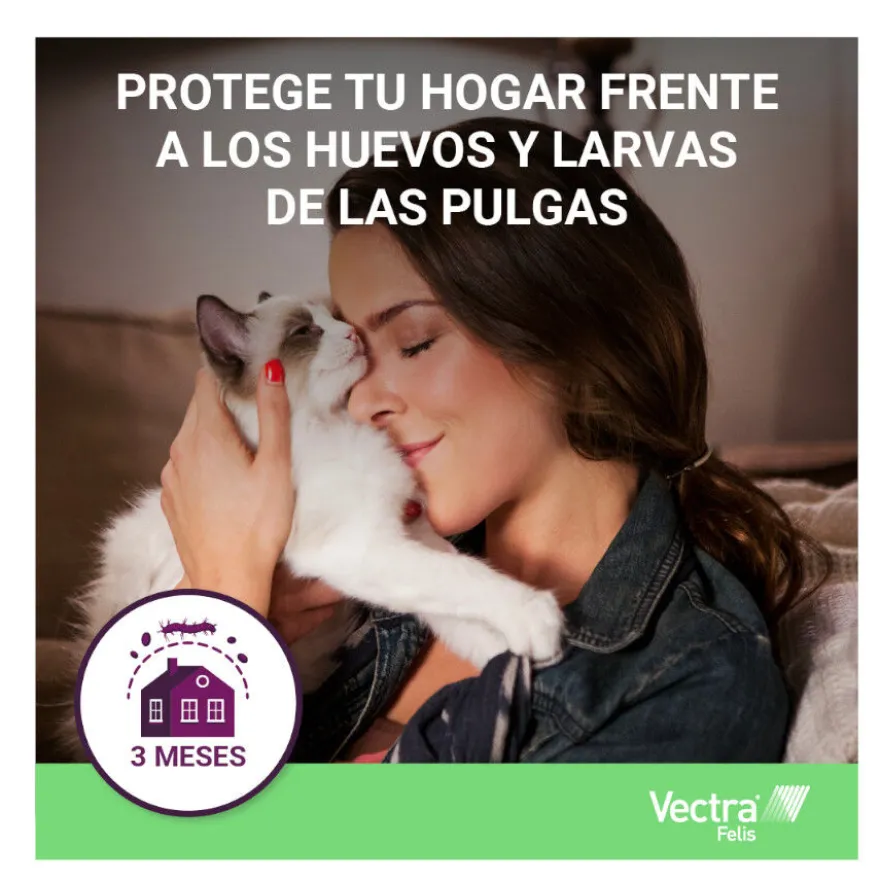 Vectra Felis Pipetas Antiparasitarias para gatos