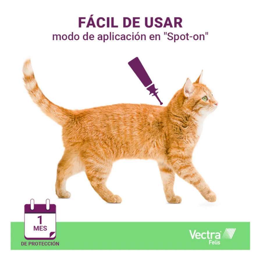Vectra Felis Pipetas Antiparasitarias para gatos