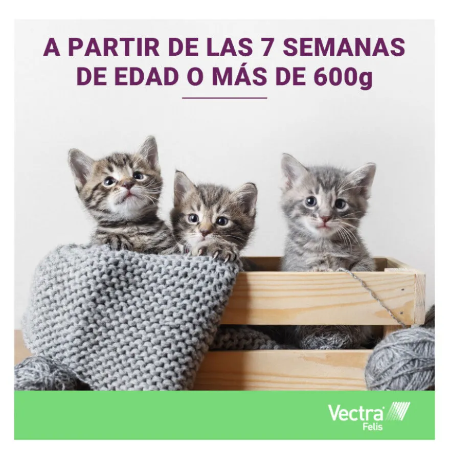 Vectra Felis Pipetas Antiparasitarias para gatos