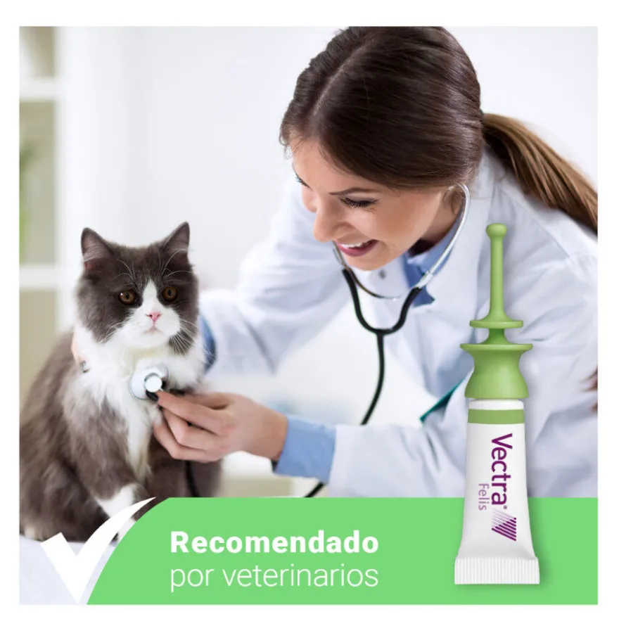 Vectra Felis Pipetas Antiparasitarias para gatos