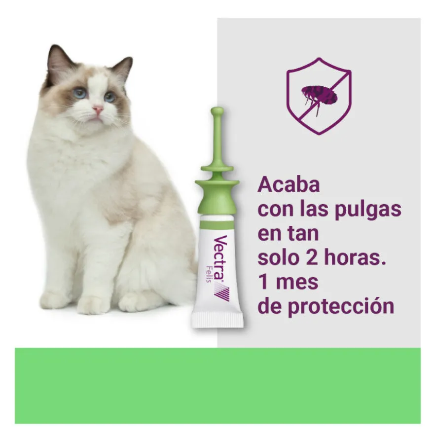 Vectra Felis Pipetas Antiparasitarias para gatos