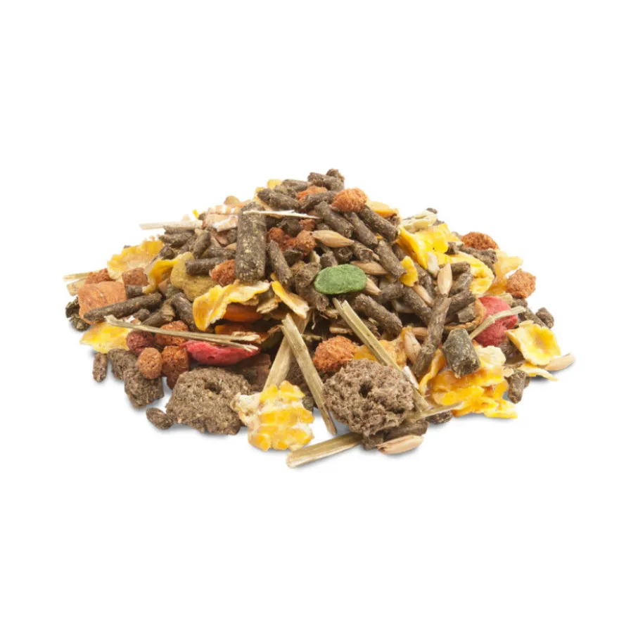 Versele-Laga Crispy Muesli mixtura para cobayas