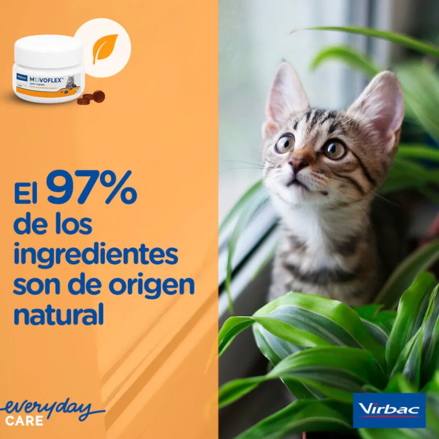 Virbac Movoflex Soft Chews Suplemento para gatos