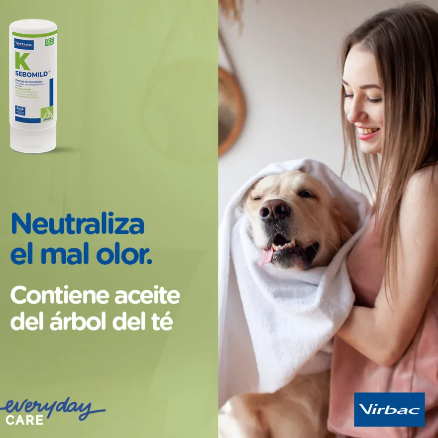 Virbac Sebomild Champú para pieles grasas en perros y gatos