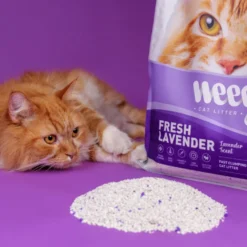 Weego Fresh Lavender Arena Aglomerante para gatos
