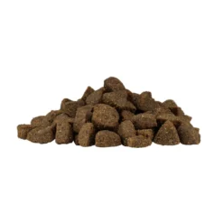 Weego Grain Free Mini Adult Ocean Salmón pienso para perros