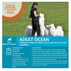 Wellness Core Adult Medium/Large Ocean Salmón y Atún pienso para perros