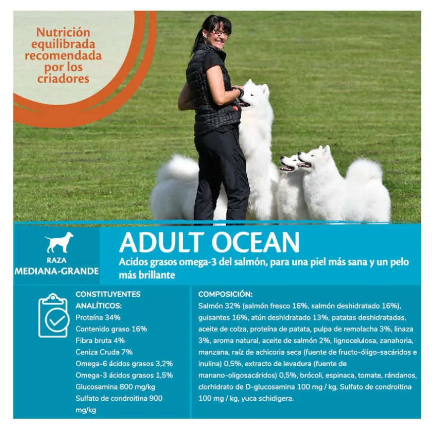 Wellness Core Adult Medium/Large Ocean Salmón y Atún pienso para perros