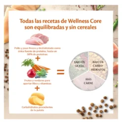 Wellness Core Adult Pollo y Pavo pienso para gatos